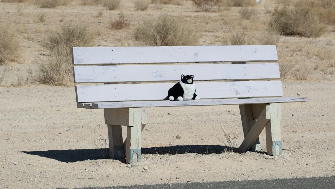 Minimalist Pet Ownership: The Rise of Multi‑Use Gear & Simplified Spaces (2025–2026)