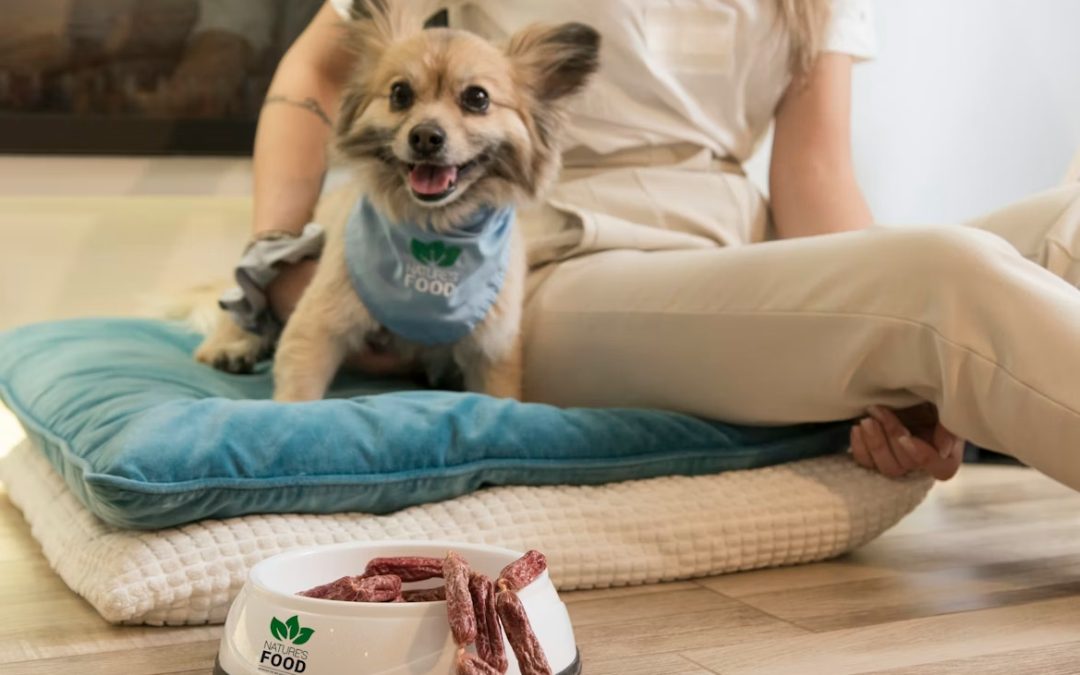 Eco‑Friendly Pet Care: Why 2025–2026 Is All About Sustainable Food, Supplies & Wellness