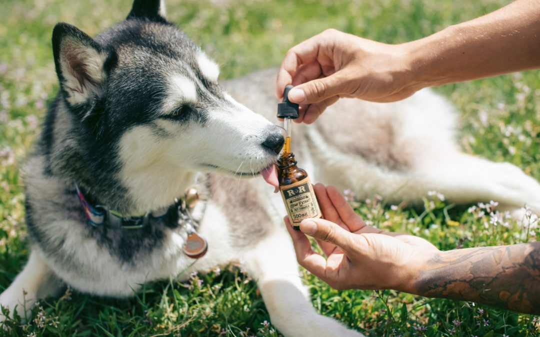 2025 Industry Report For The Pet Supplements Sector